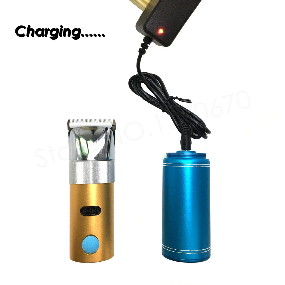 Tondeuse Professionnelle 400W pour Chien et Chat – PawZix