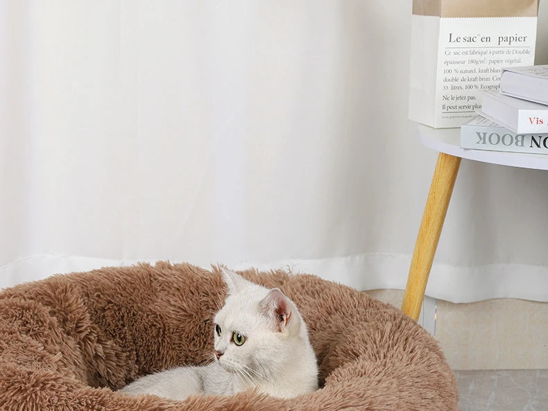 Nid Douillet en Peluche pour Chat et Chien – Confort Toutes Saisons | PawZix