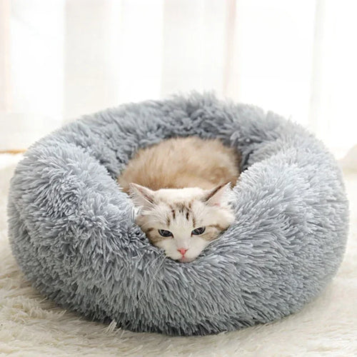 Nid Douillet en Peluche pour Chat et Chien – Confort Toutes Saisons | PawZix