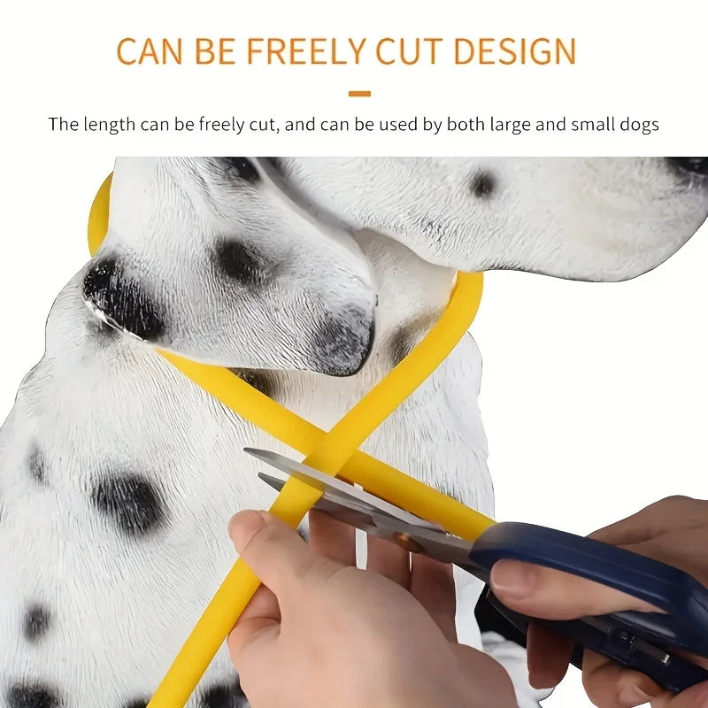 Collier LED Rechargeable pour Chien – PawZix