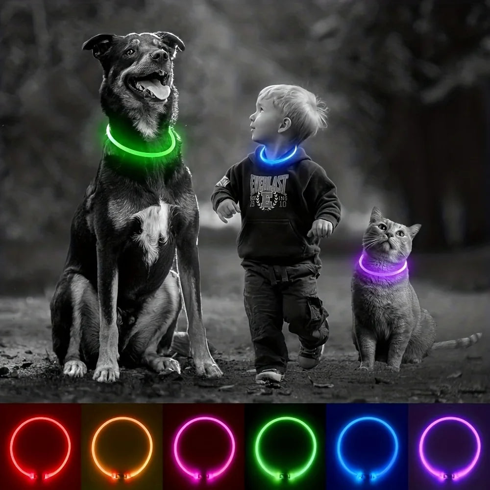 Collier LED Rechargeable pour Chien – PawZix