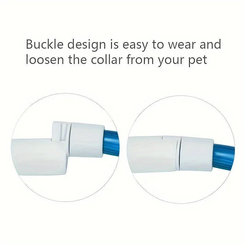 Collier LED Rechargeable pour Chien – PawZix