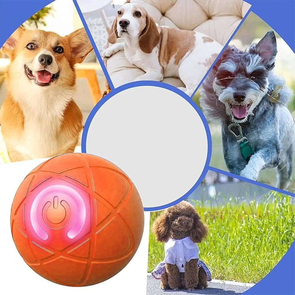Balle Roulante Interactive LED pour Chien et Chat – PawZix