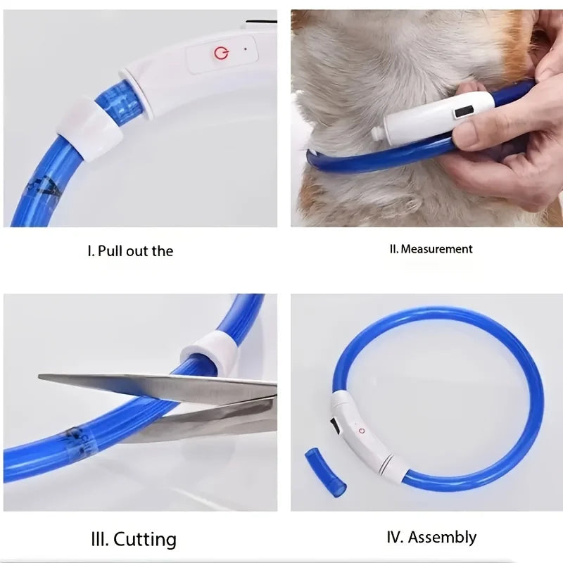 Collier LED Rechargeable pour Chien – PawZix