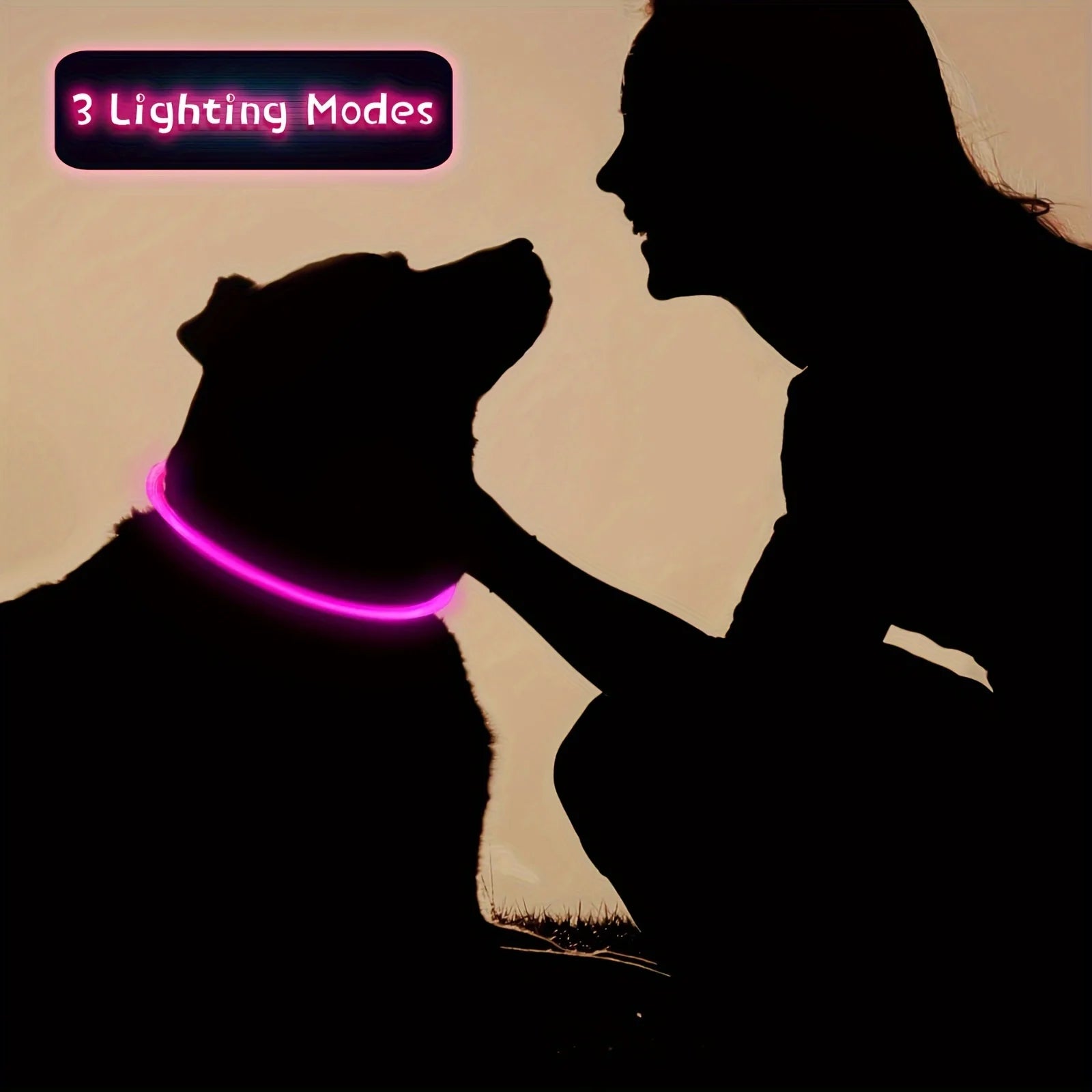 Collier LED Rechargeable pour Chien – PawZix