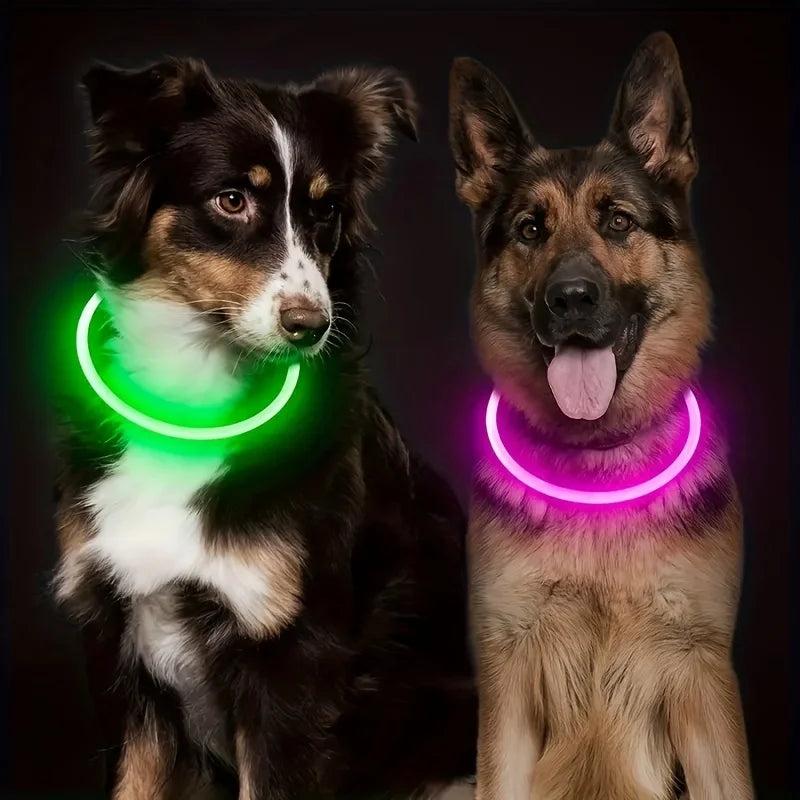 Collier LED Rechargeable pour Chien – PawZix