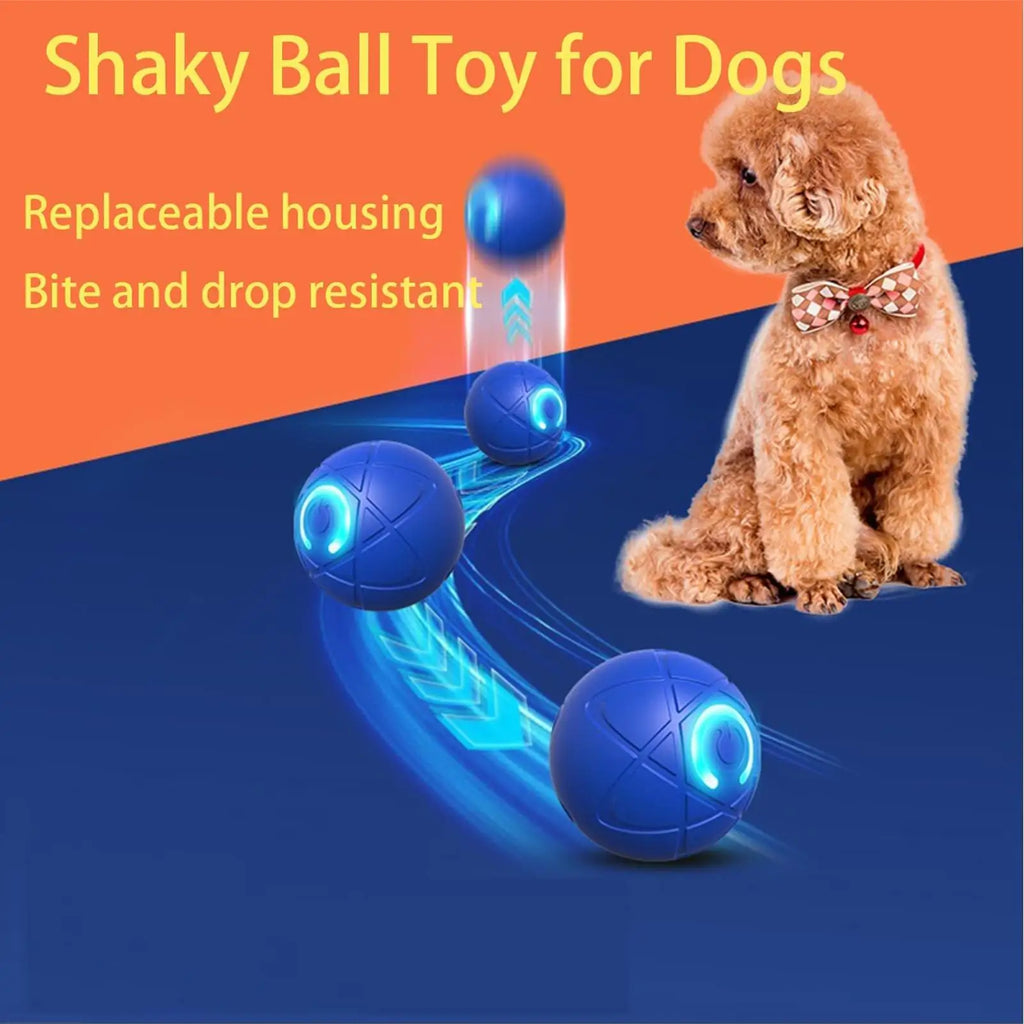 Balle Roulante Interactive LED pour Chien et Chat – PawZix