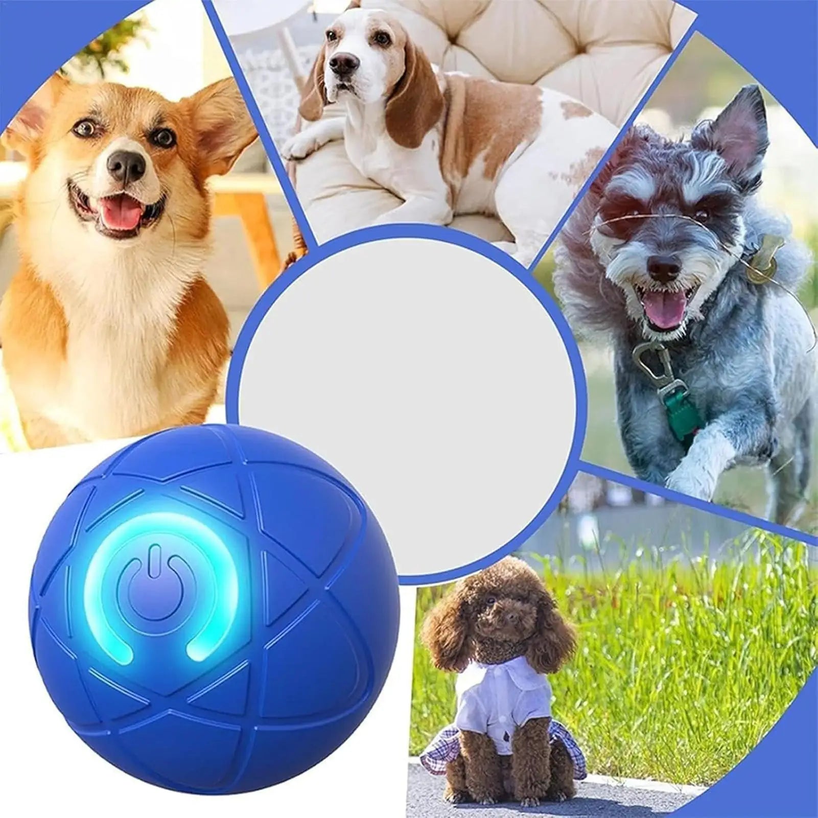 Balle Roulante Interactive LED pour Chien et Chat – PawZix