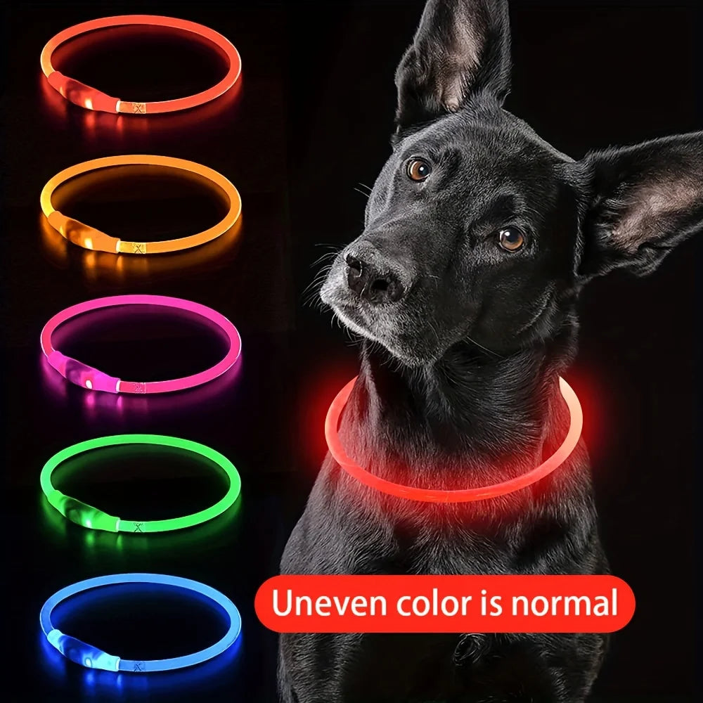 Collier LED Rechargeable pour Chien – PawZix