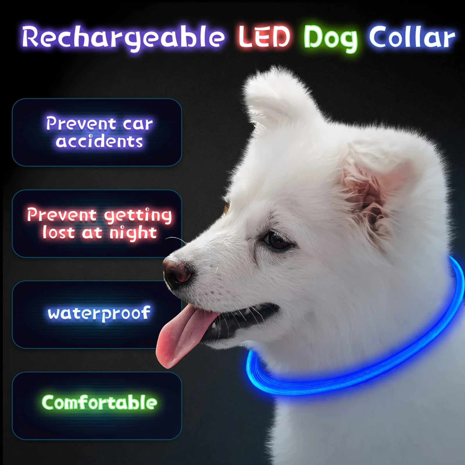 Collier LED Rechargeable pour Chien – PawZix