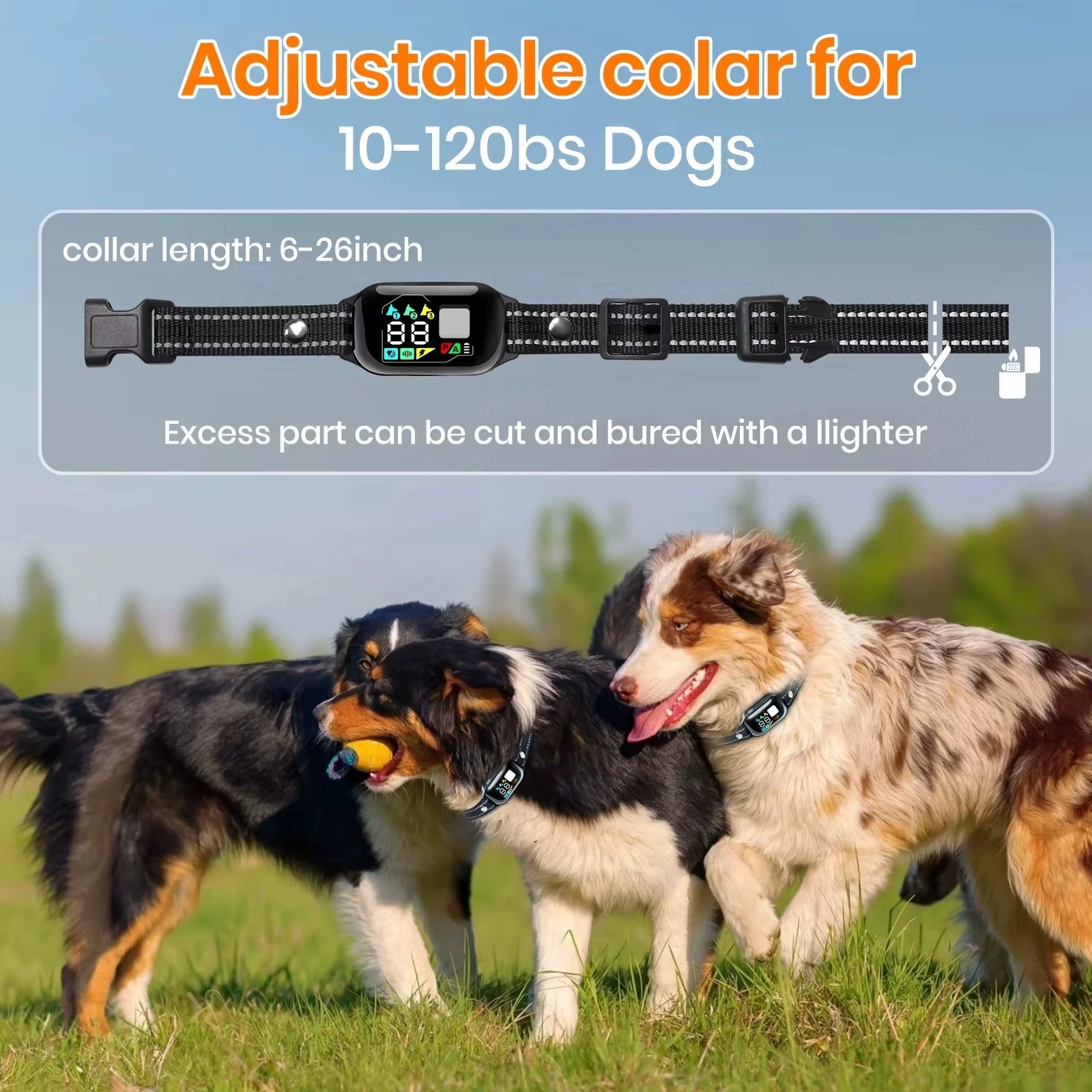 Collier de Dressage Électrique 3300ft avec IA – Imperméable IPX7 | PawZix