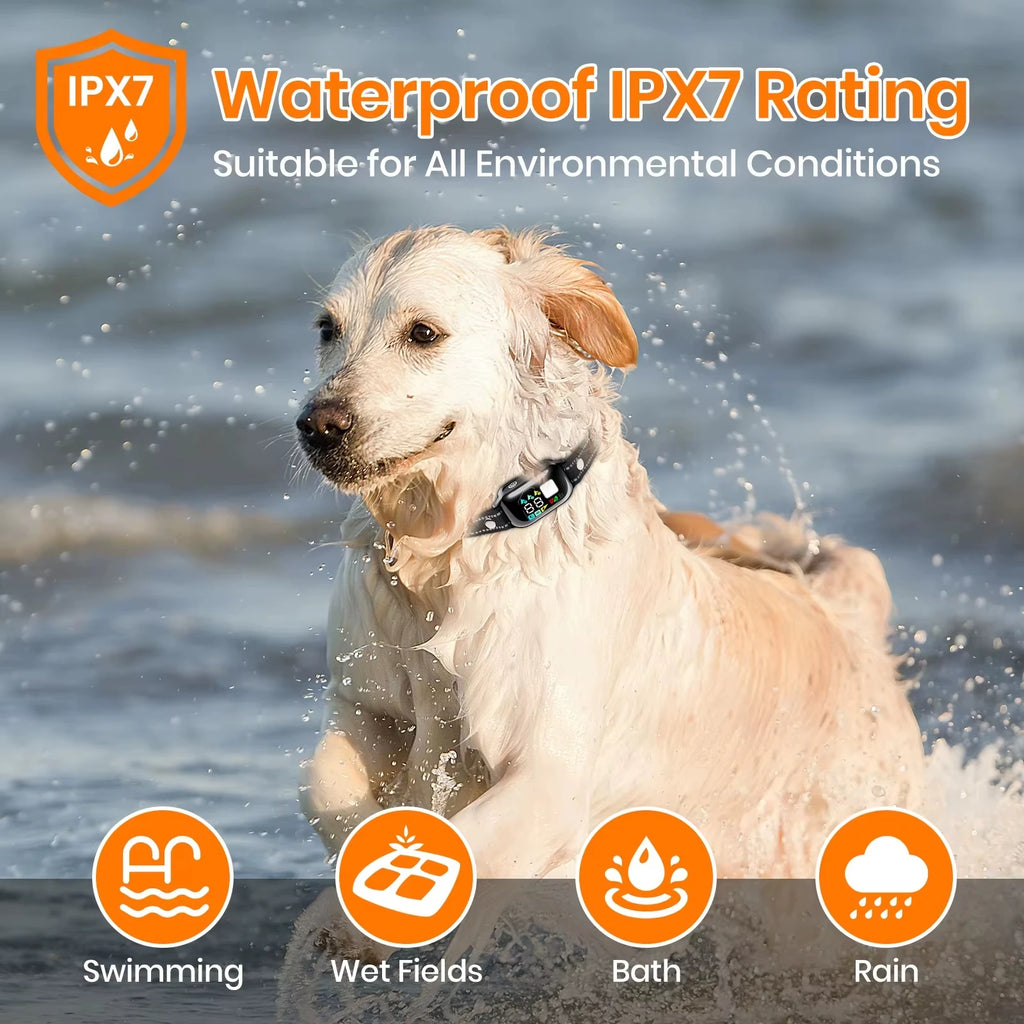 Collier de Dressage Électrique 3300ft avec IA – Imperméable IPX7 | PawZix