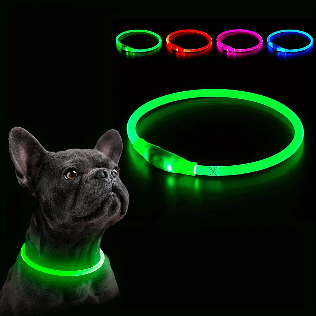 Collier LED Rechargeable pour Chien – PawZix