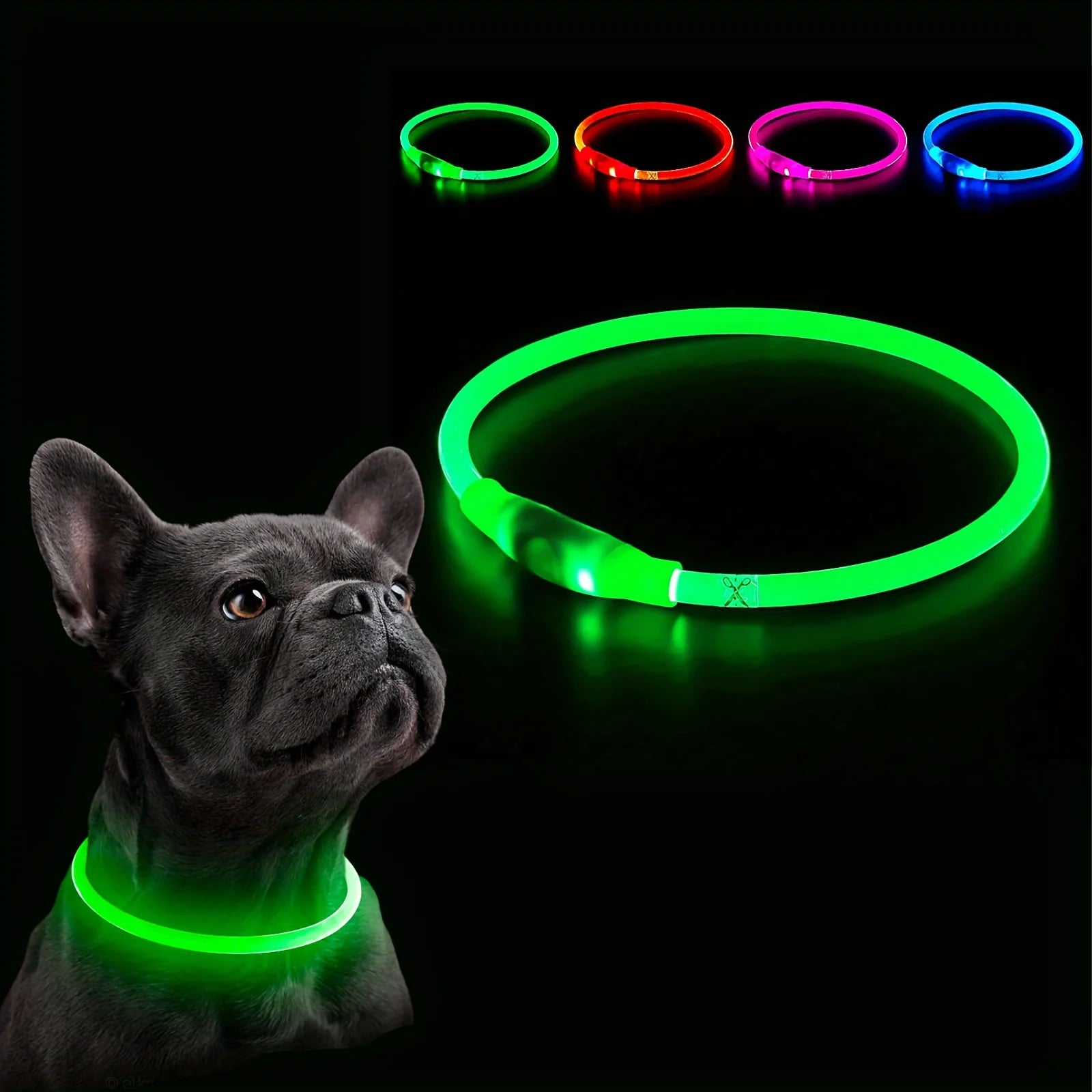 Collier LED Rechargeable pour Chien – PawZix