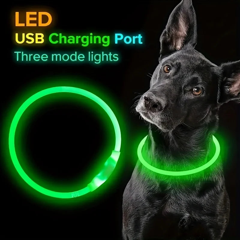 Collier LED Rechargeable pour Chien – PawZix