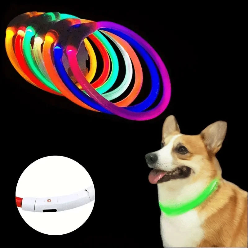 Collier LED Rechargeable pour Chien – PawZix