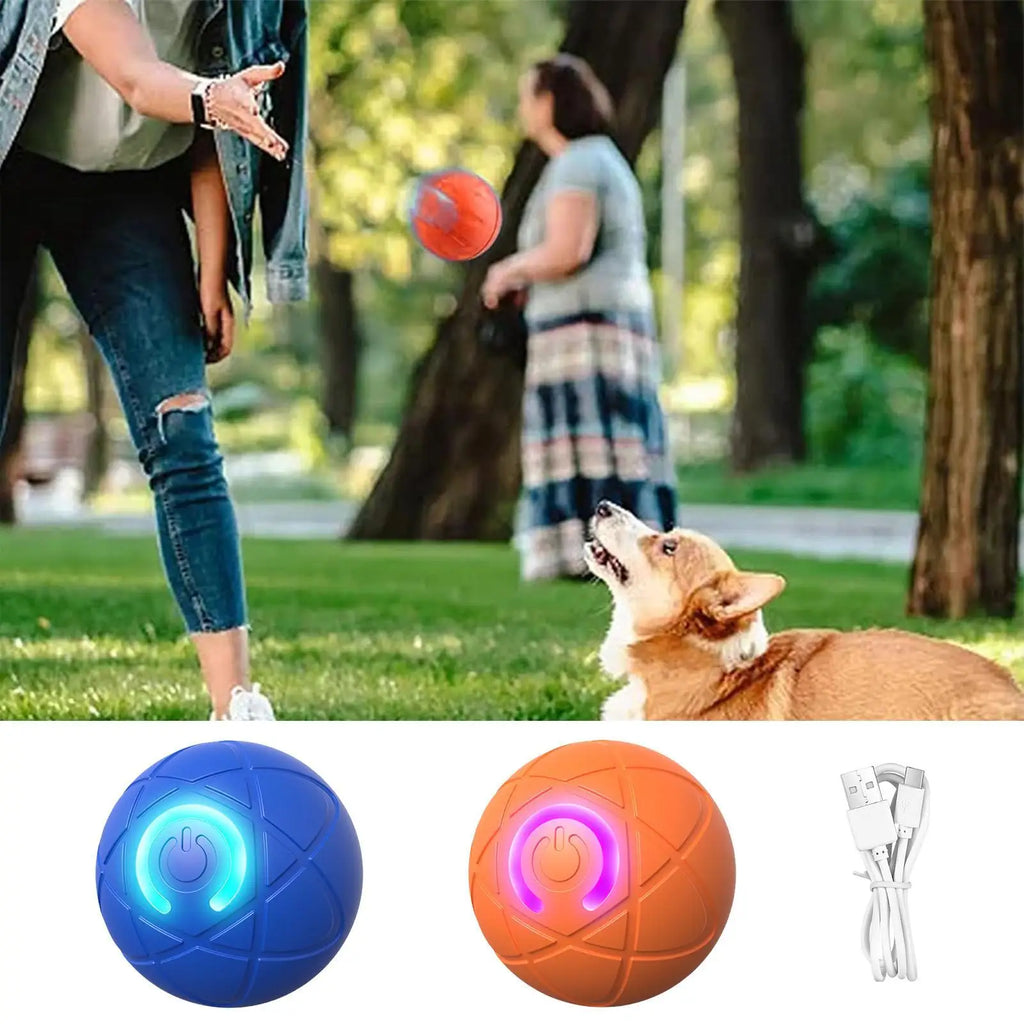 Balle Roulante Interactive LED pour Chien et Chat – PawZix